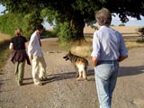 A Walk (ii)